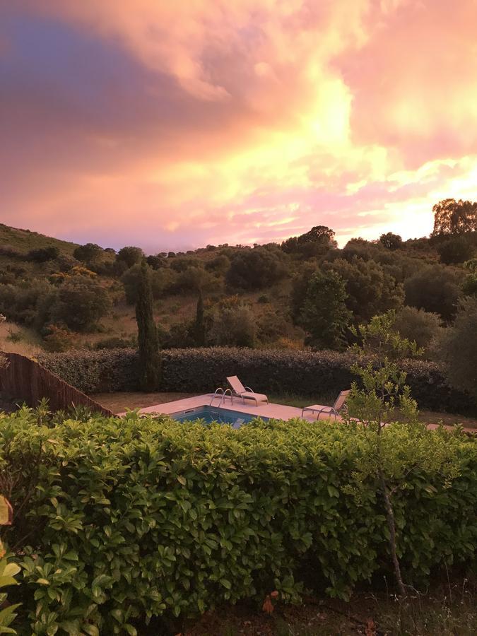 Villa Oliera Saint-Florent  Dış mekan fotoğraf
